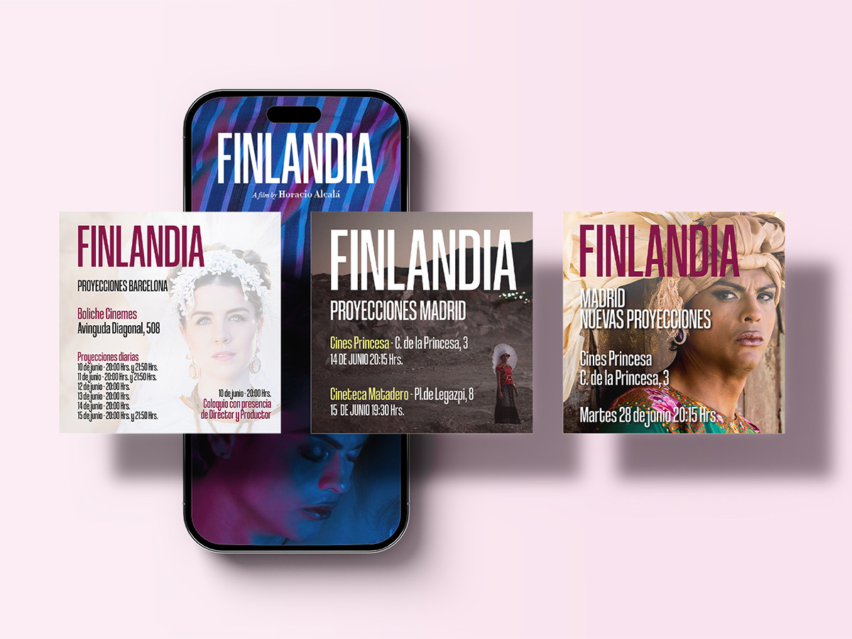 24_Finlandia_Assets_02