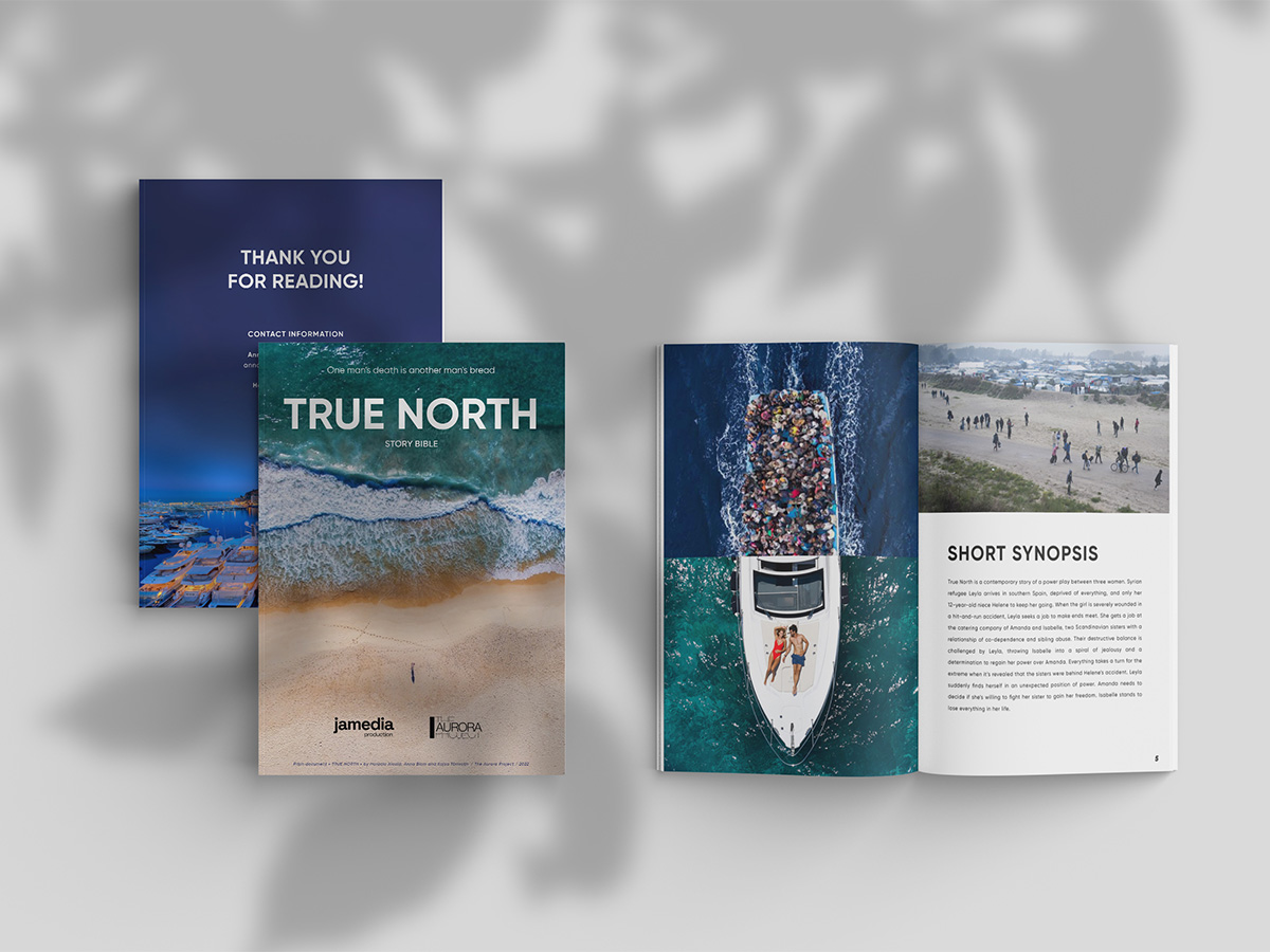 25_True_North_01